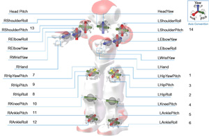 NAO Robot's 25 Degrees of Freedom